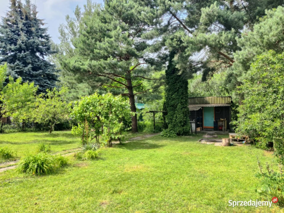 Działka Rekreacyjna ROD 500m2 Paluch 1 Włochy Warszawa