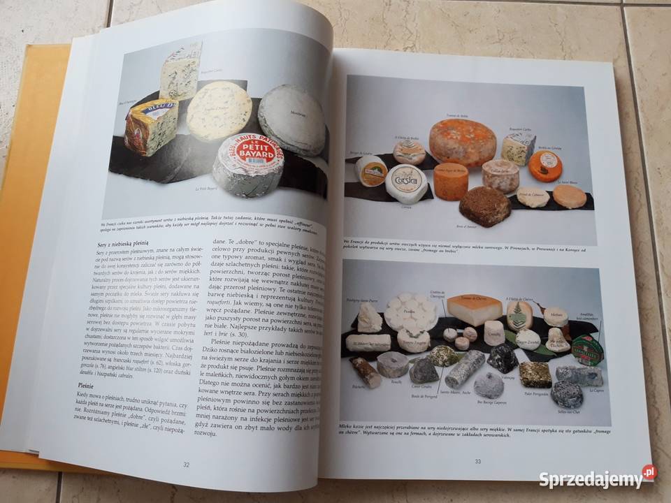 Sery Porady smakoszy ARKADY 2004 śląskie Bielsko-Biała