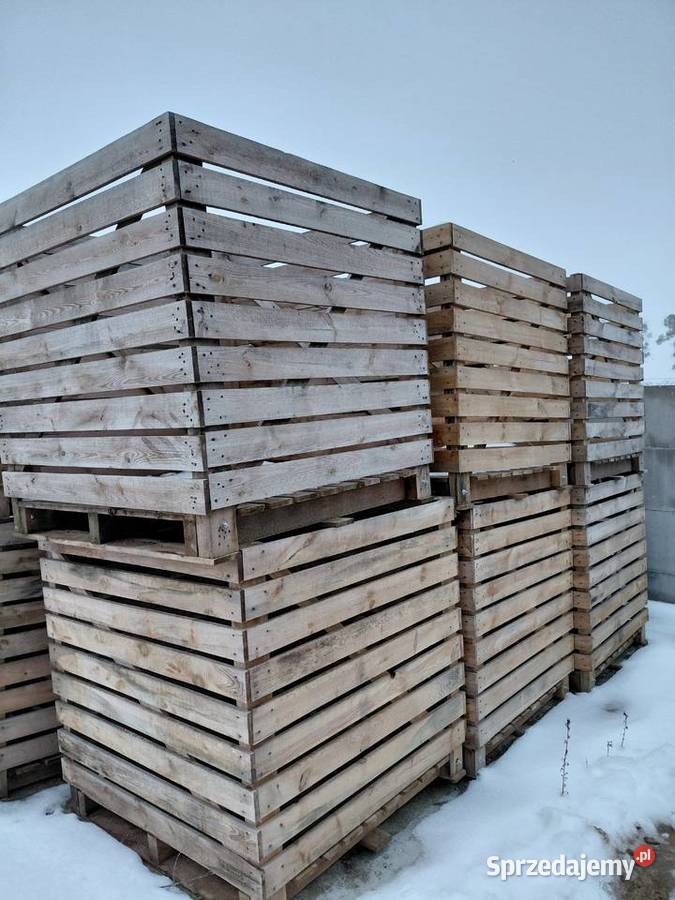 Skrzyniopalety do warzyw i owoców Mocne stan Świecie