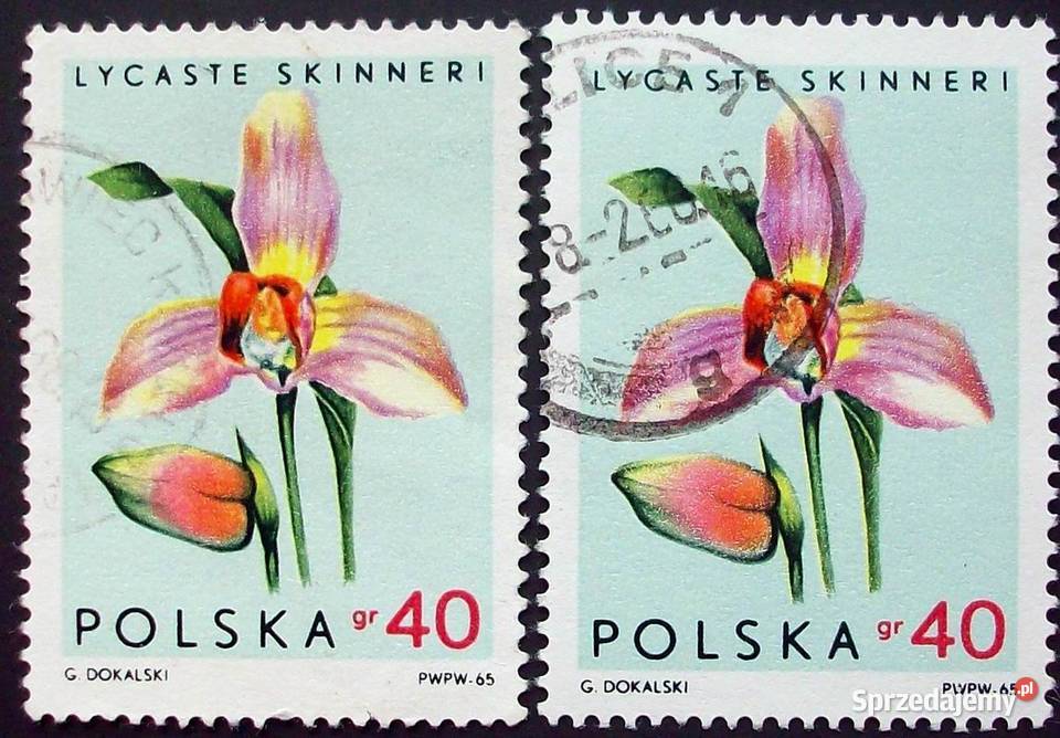 L Znaczki polskie 1965 kwartał III łódzkie