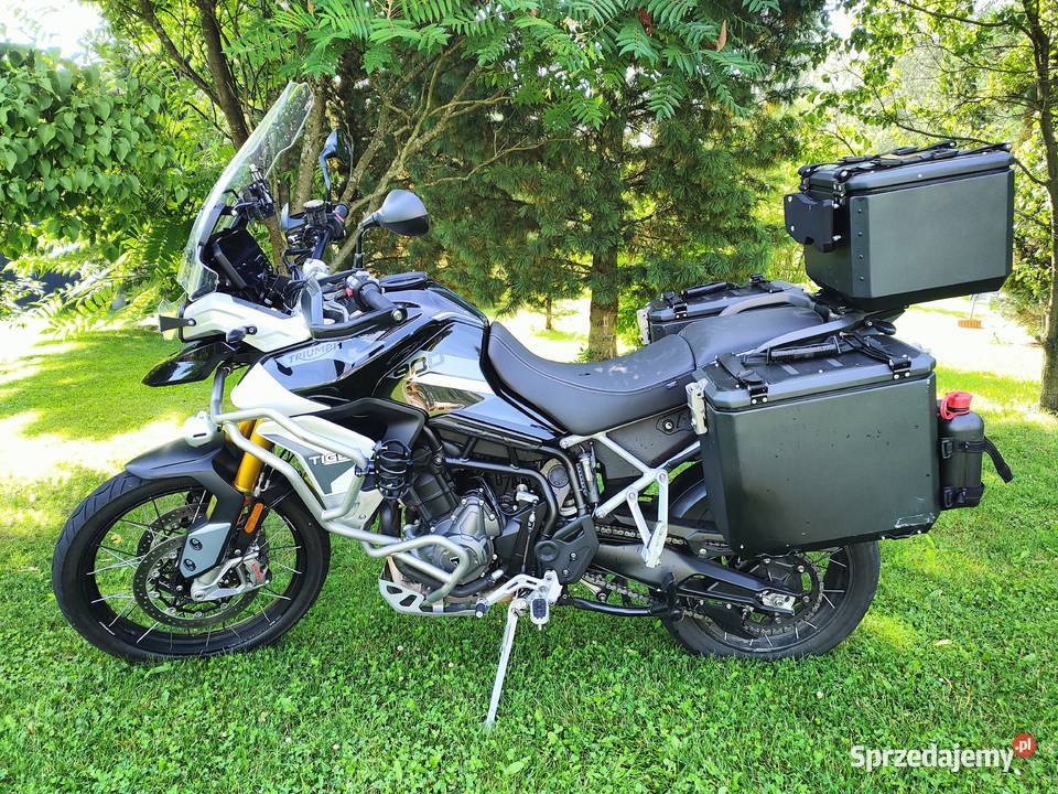 Triumph Tiger Rally Pro 900 Triumph