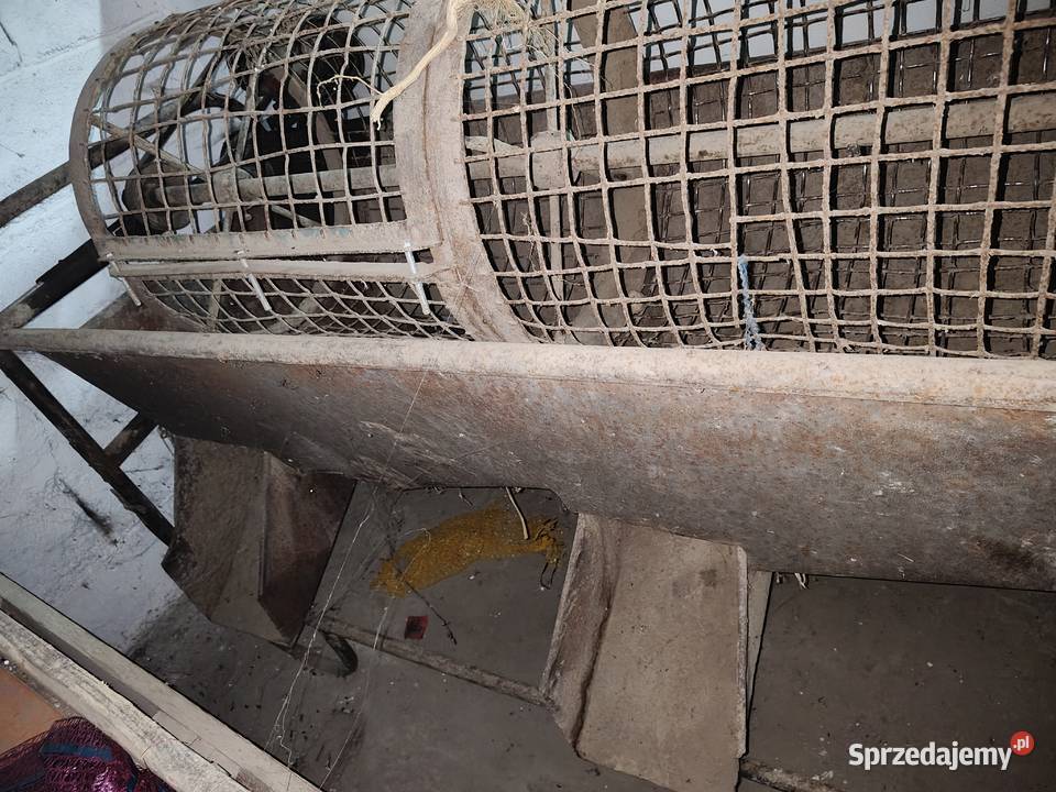 Sortownik do ziemniaków Wichrowice sprzedam