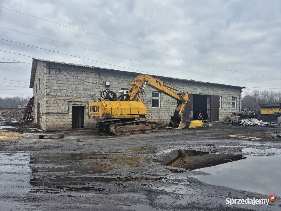 Wynajmę działka przemysłowa 08 ha utwardzona z Dąbrowa