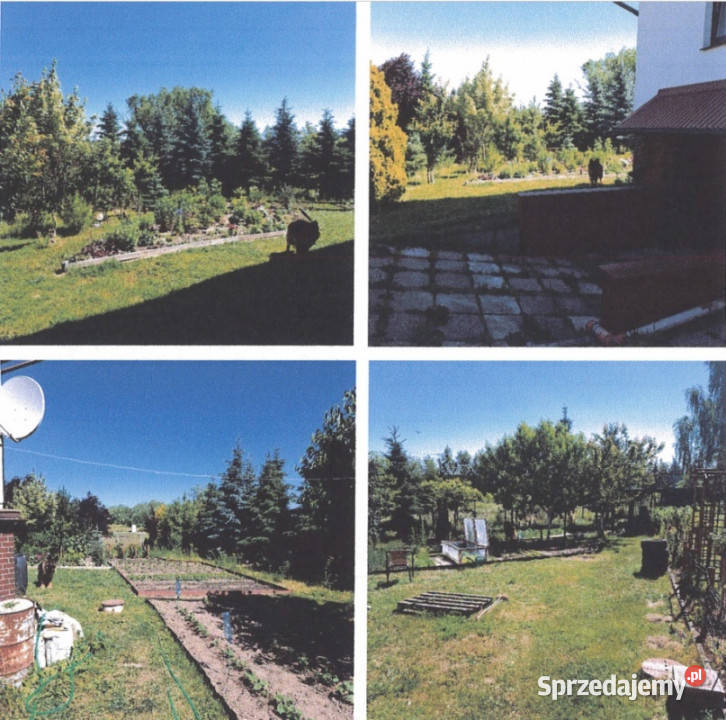 Syndyk Udział w nieruchomości w Malborku Domy Malbork