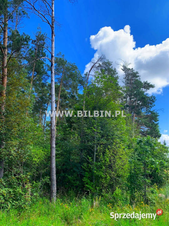 Grunt Morgi 9101m2 asfalt sprzedam