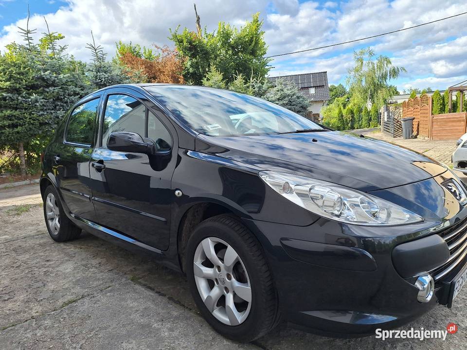 Peugeot 307 z malym przebiegiem ABS Gniezno
