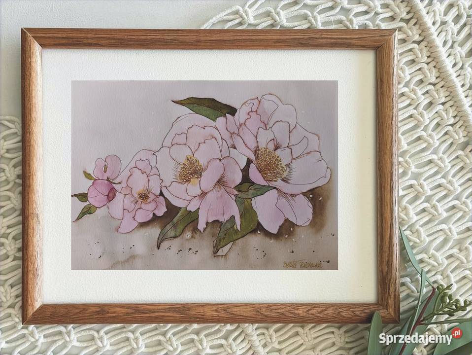 Akwarela Akwarelka Obraz pt Peonie Malarstwo wielkopolskie Poznań