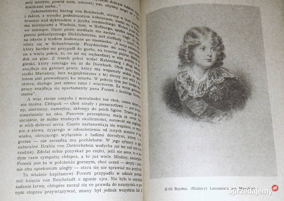 Synowie Napoleona Część 1 Jadwiga Dackiewicz miękka Chełm sprzedam