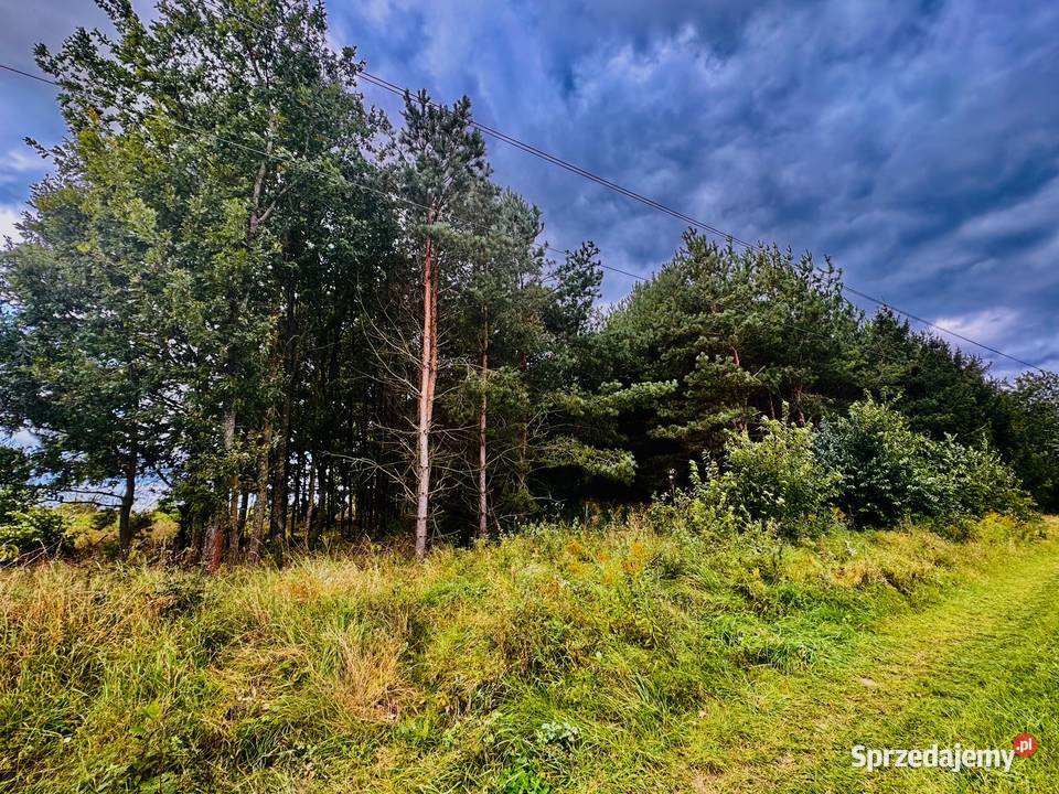 Drygały piękna działka 14 ha w otoczeniu lasów i 17zł/m2
