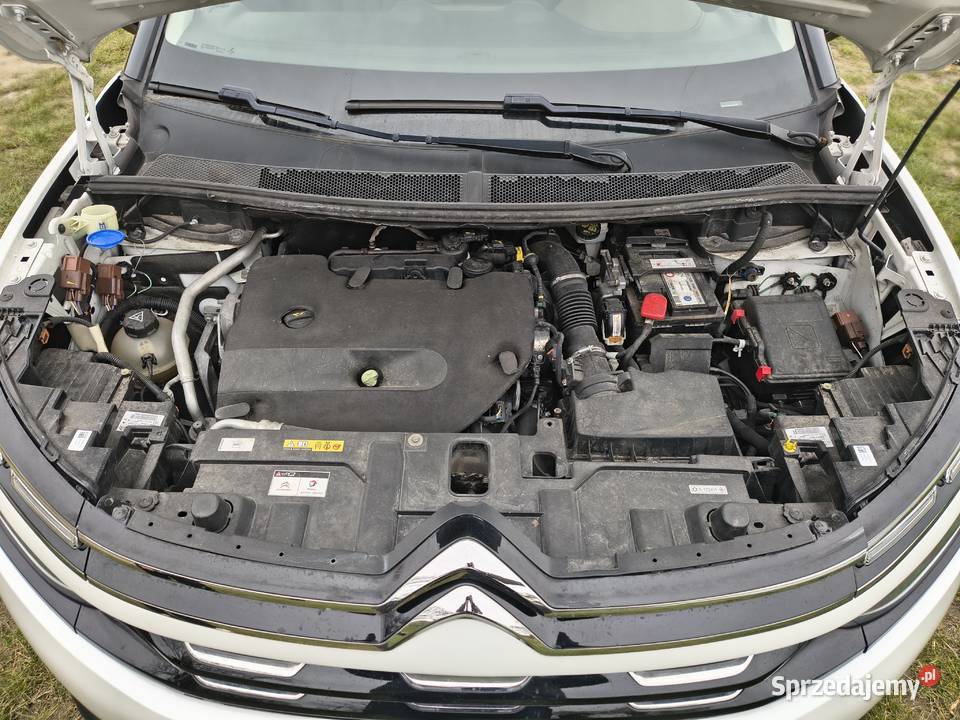 Citron C5 Aircross 20 BlueHDi Shine EAT8 Pozostałe Wrocław
