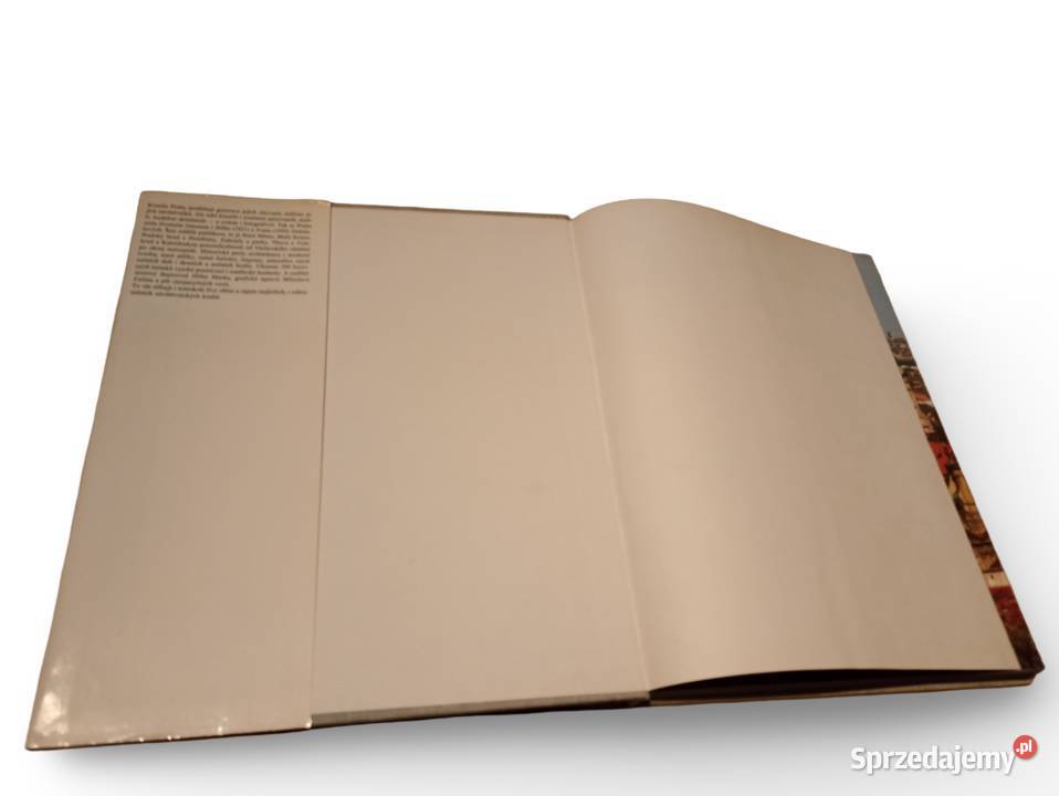 Ji Doleal Ivan Doleal Praha Prag Prague Praga Poradniki, albumy i reportaże Kraków