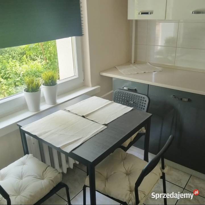Wynajmę mieszkanie 51 tysiąclecie Liczba pokoi 2 śląskie sprzedam