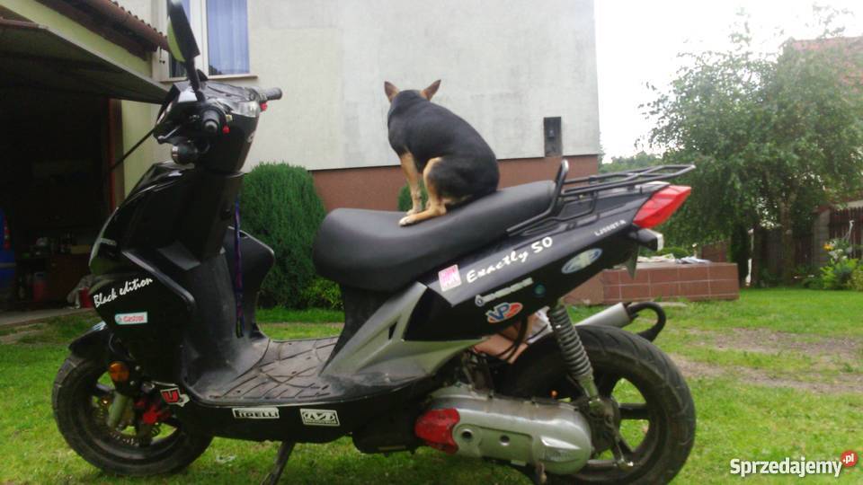 Skuter Longjia Exactly 7050