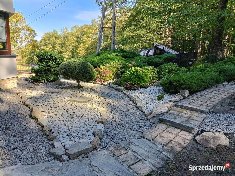 Usługi Ogrodnicze Wertykulacja wycinki drzew śląskie Bielsko-Biała