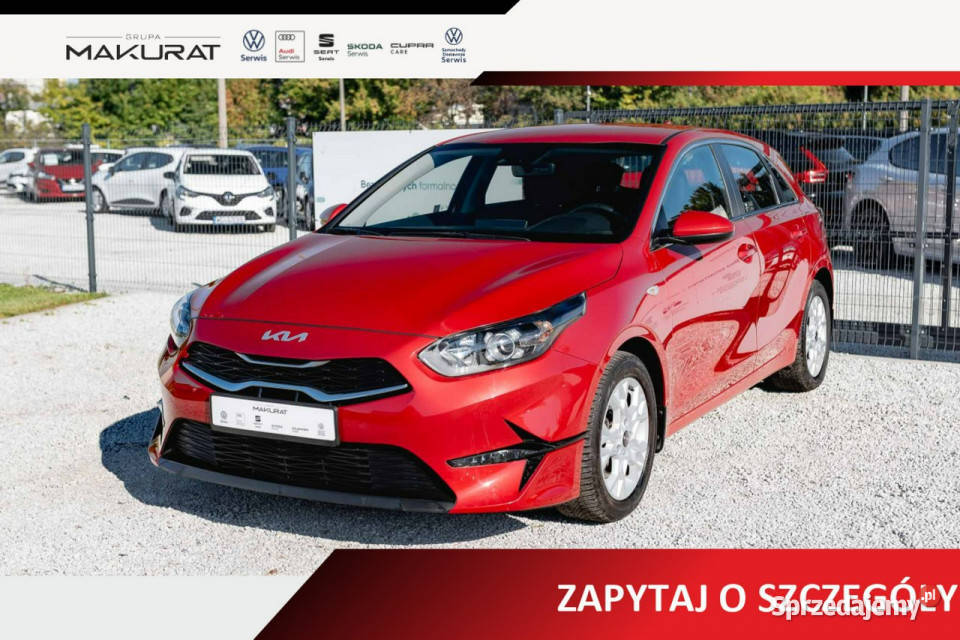 Kia Ceed WA7866H15 TGDI M DCT 2 stref klima Kcof elektryczne lusterka Gdańsk
