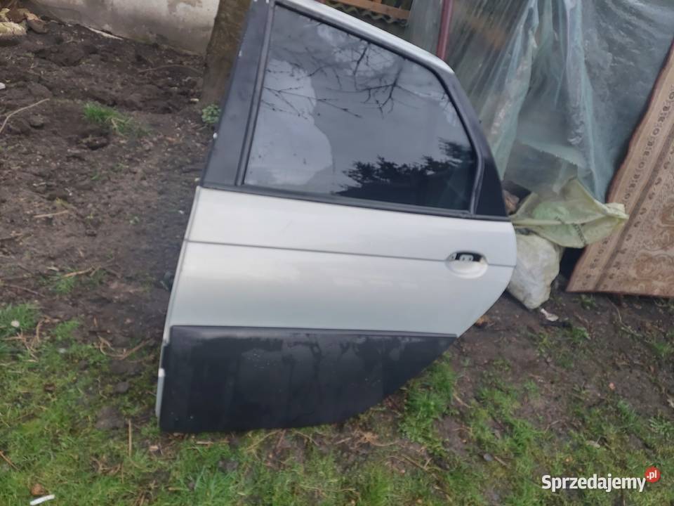 Drzwi do Renault Scenic RX4 Puławy