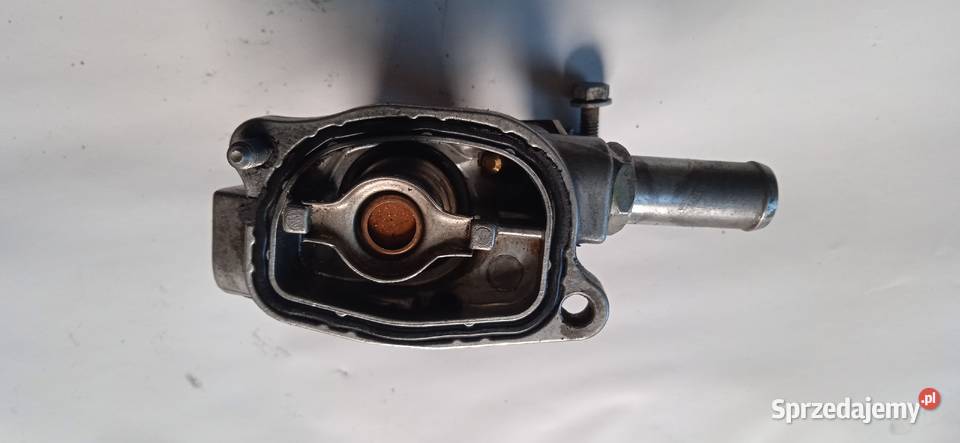 Termostat 12 Grande Punto Fiat 500 Jaworzno