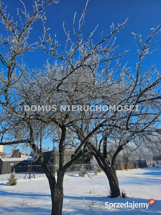 Grunt na sprzedaż Rogów 1500m2 łódzkie