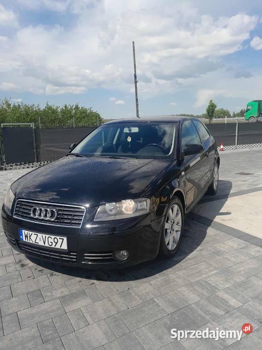 Audi A3 8P światła do jazdy dziennej Trojanów