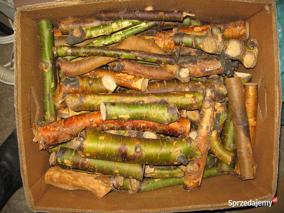 Drzewo drewno z wiśni wiśniowe do wędzenia Dom i Ogród Warszawa