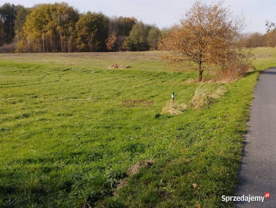 Grunt Pstrążna 70000m2 sprzedam