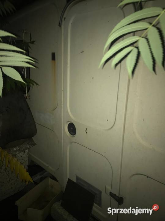 Przyczepa kamping N126 Kempingowe kujawsko-pomorskie Bydgoszcz