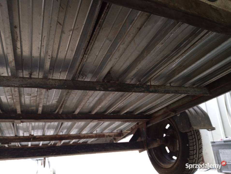 PRZYEPKA NEPTUN LEEKA Zabrze