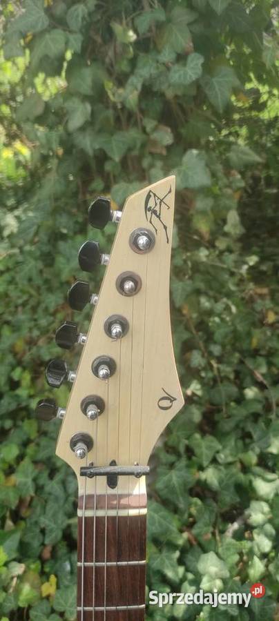 Gitara Quality Custom Guitars