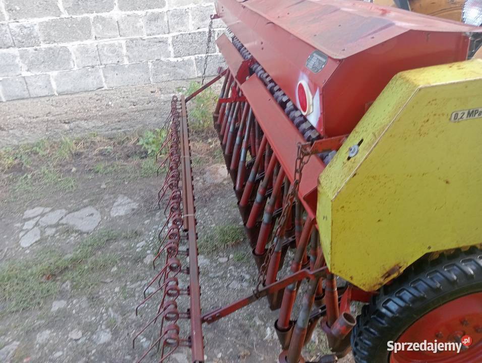 Siewnik poznaniak Czyżew