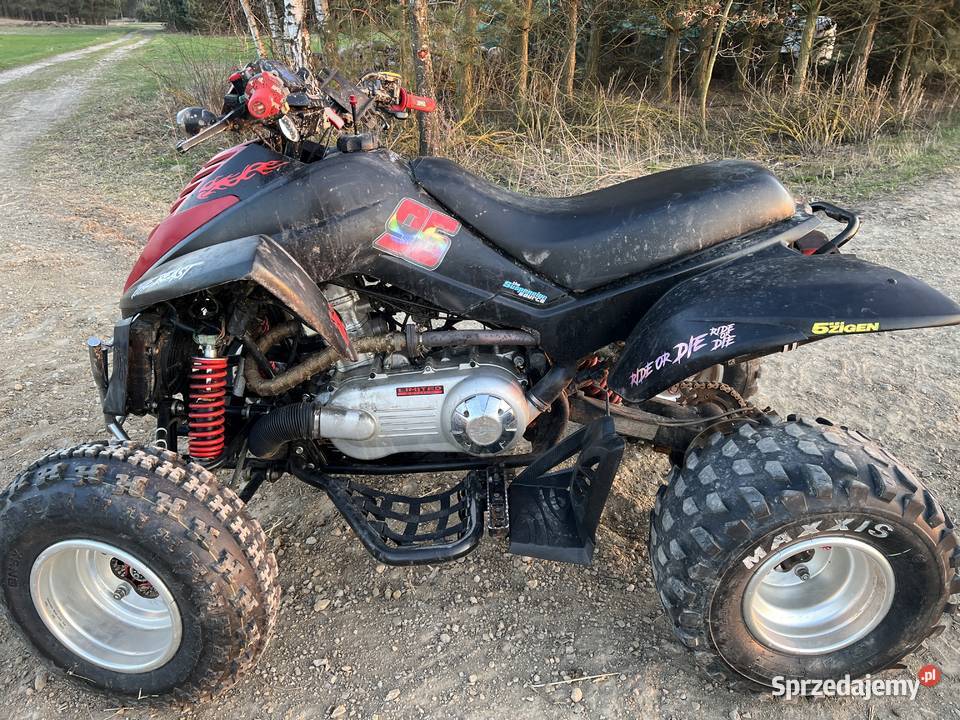 Sprzedam quada Dinli 300cc automat