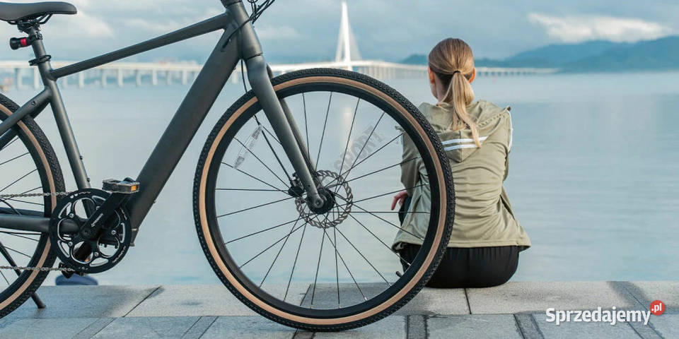 Rower elektryczny gravel miejski FIIDO C21 28