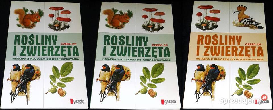 Rośliny i zwierzęta cz 234 Artur Hanc Chełm