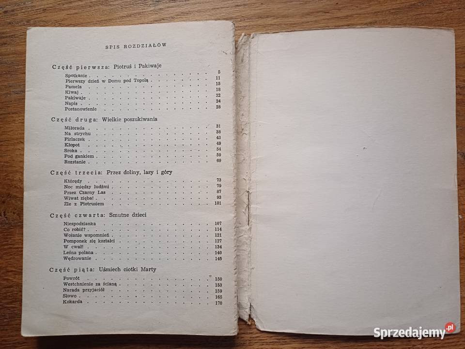 O chłopcu który szukał domu I Jurgielewiczowa Kultura i Rozrywka Kraków