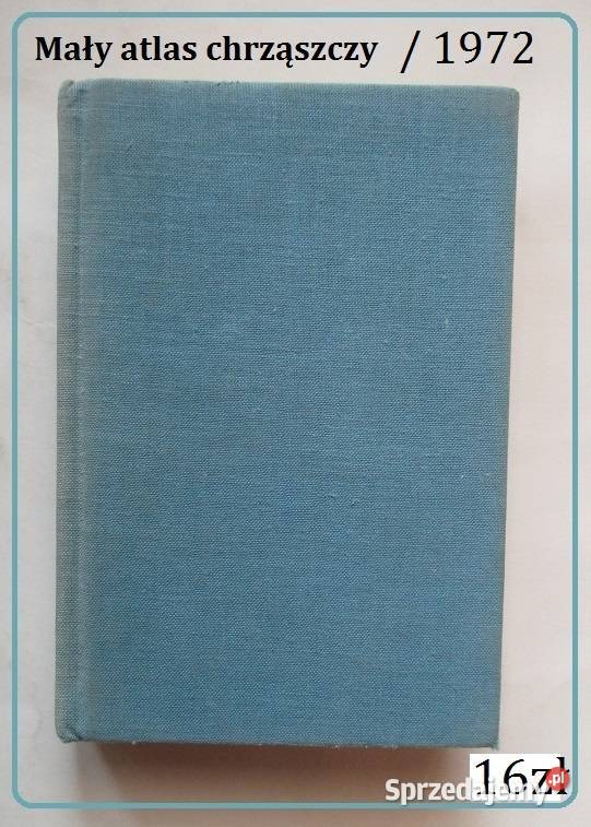 Bezkrwawe łowy Puchalski ptaki przyroda konie łódzkie Łódź