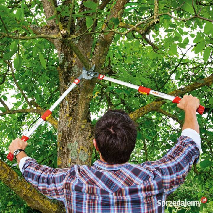 Sekator kowadełkowy POWER CUT RS 900 T Wolf Pozostałe Tajęcina sprzedam