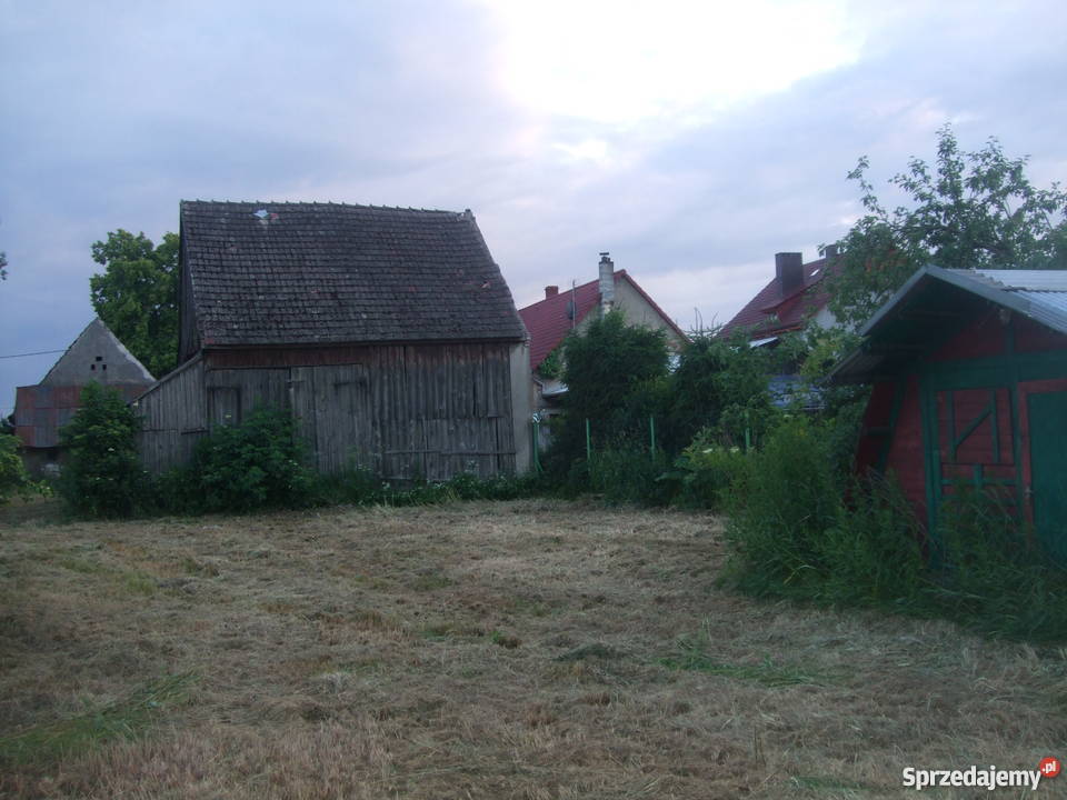 Dom działka 29 arów 2900m2 Grunty i działki Czepielowice