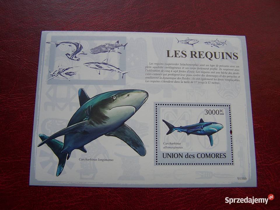 Komory 2009 MNH Fauna Rekiny