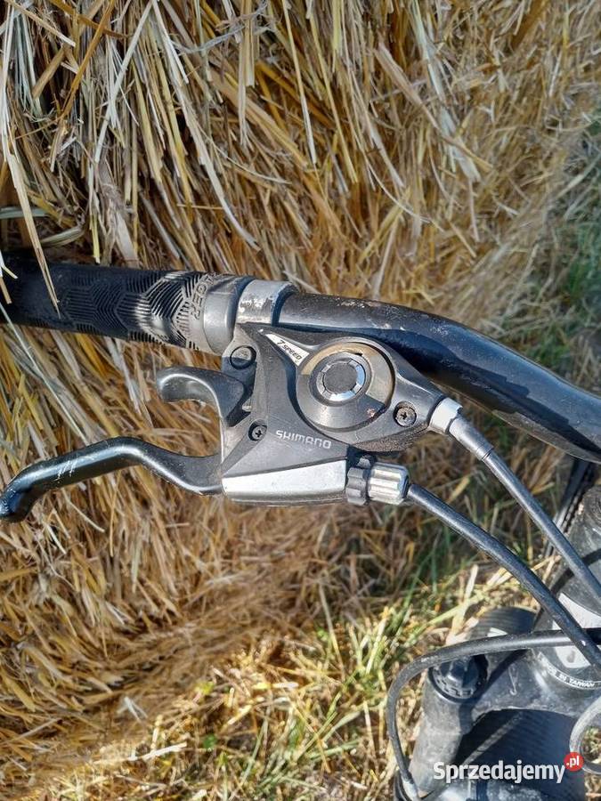 Rower trek Eseries Gdańsk