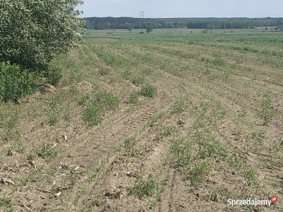 Działki rolne w miejscowości Wielkie Oczy podkarpackie