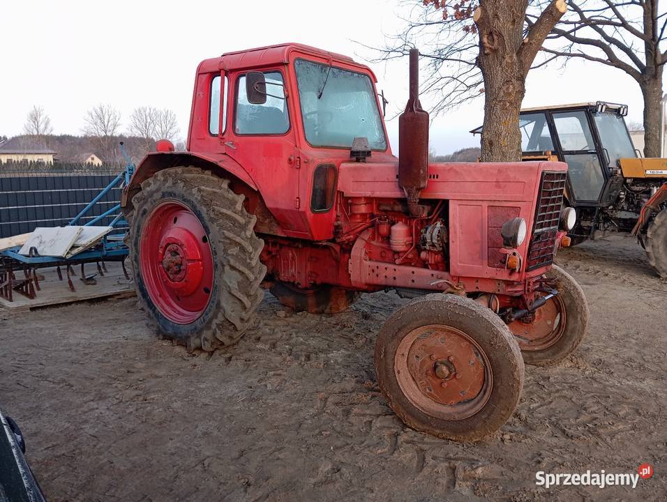 Sprzedam Mtz 50 Pisklaki