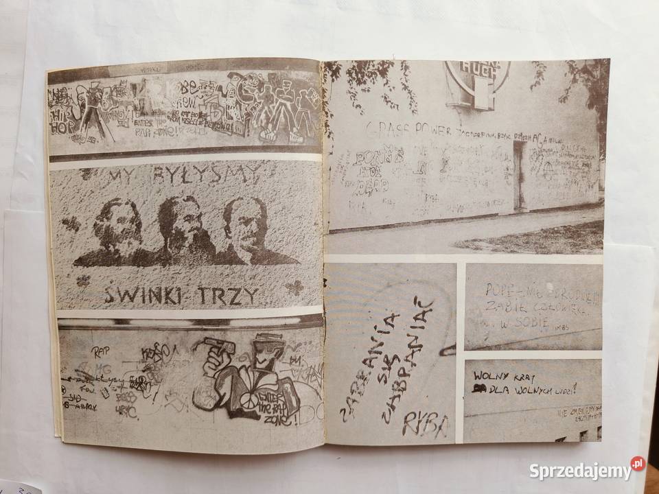 Polskie mury Graffiti sztuka czy wandalizm album Antyki, Sztuka, Kolekcje