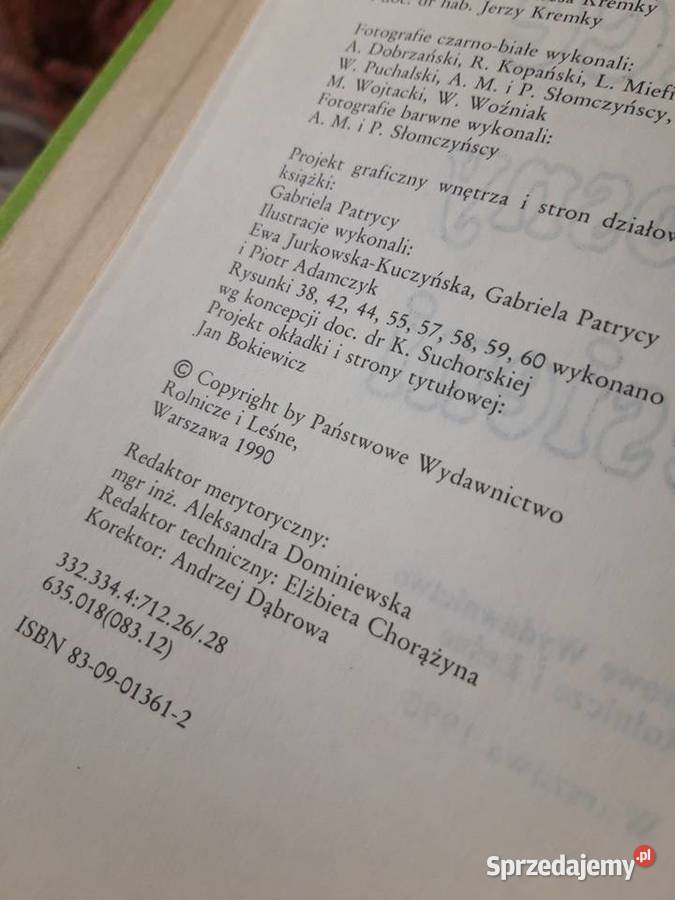 Na działce wiosny do jesieni 1990 śląskie Bielsko-Biała