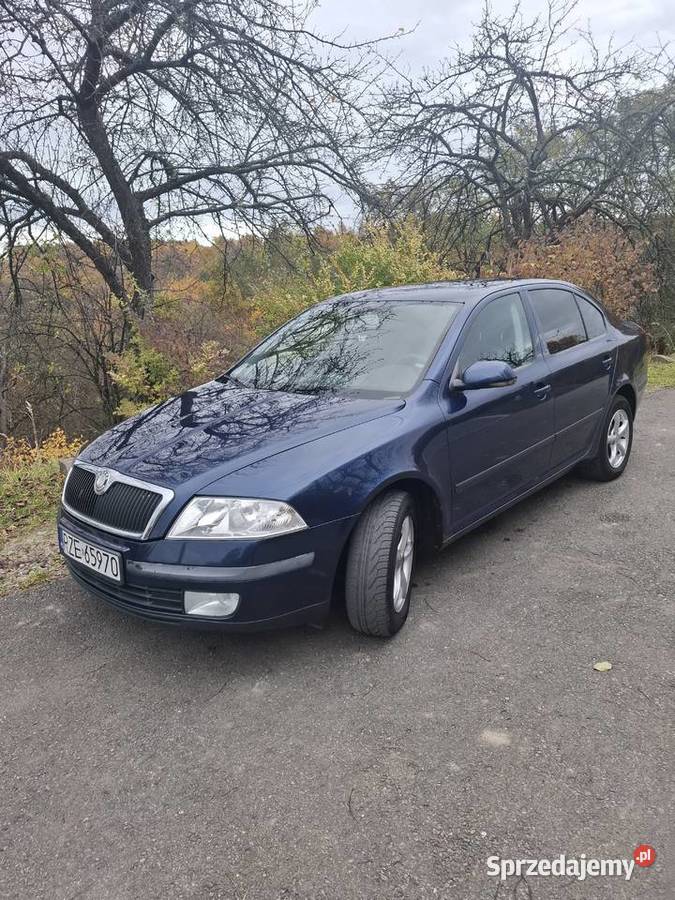Skoda Octavia 19 TDI Ambiente 288055km Tyczyn