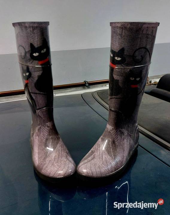Kalosze Denmar z Kotem 39 Tarnowo Podgórne sprzedam