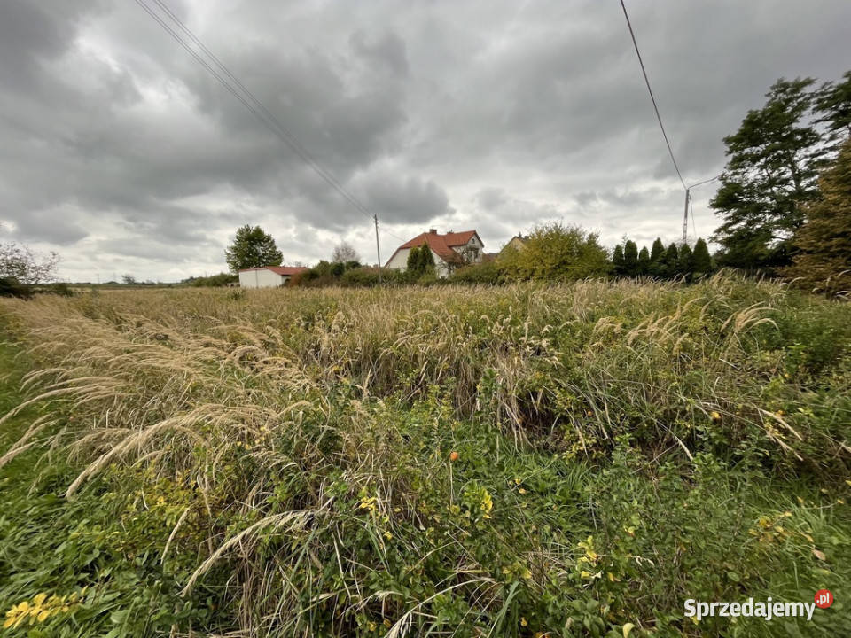 Działka budowlanousługowa w Końskowoli gm Puławy budowlana