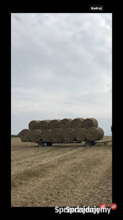 Przyczepa platforma wóz do bel balotów siana Szczekociny