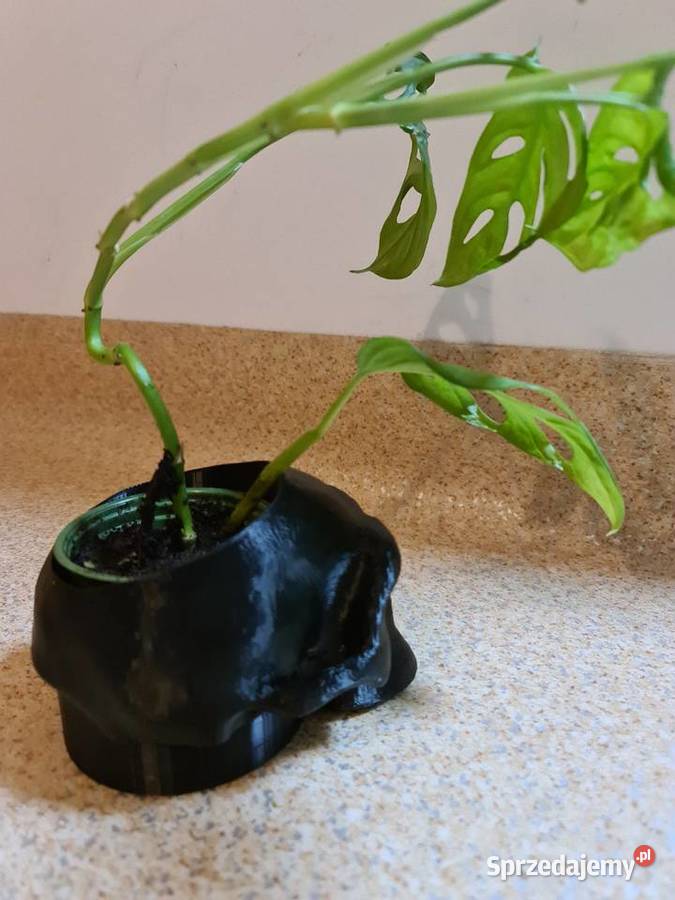 Doniczka osłonka czaszka głowa Radom