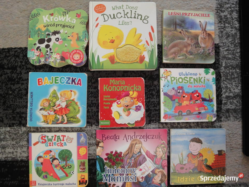 Zestaw 15 książek dzieci Kraków