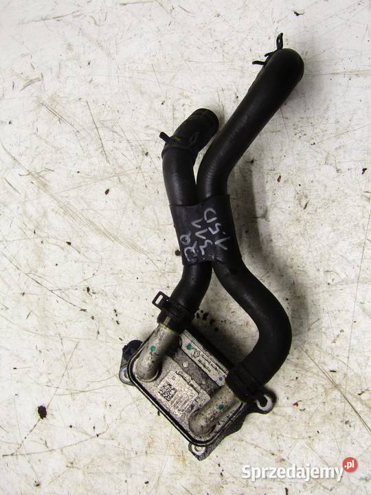 CHŁODNICZKA CHŁODNICA OLEJU 12 DIGT NISSAN