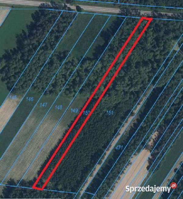 Działka Leśna Las 051 ha Kramkowo 400m